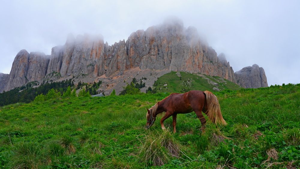 Photograph by Андрей