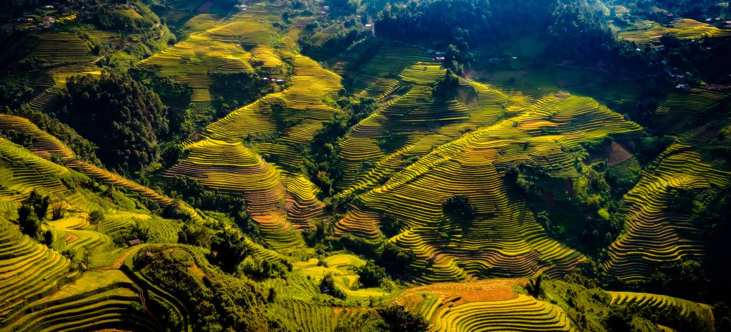 Фотография #13348345