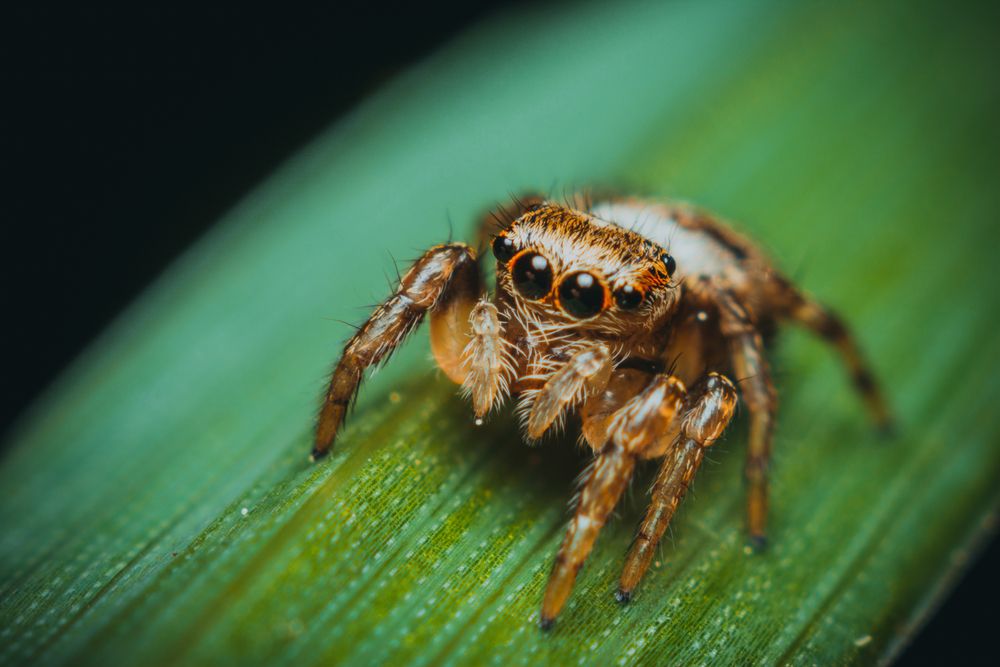 Photograph by Максим Юрлов