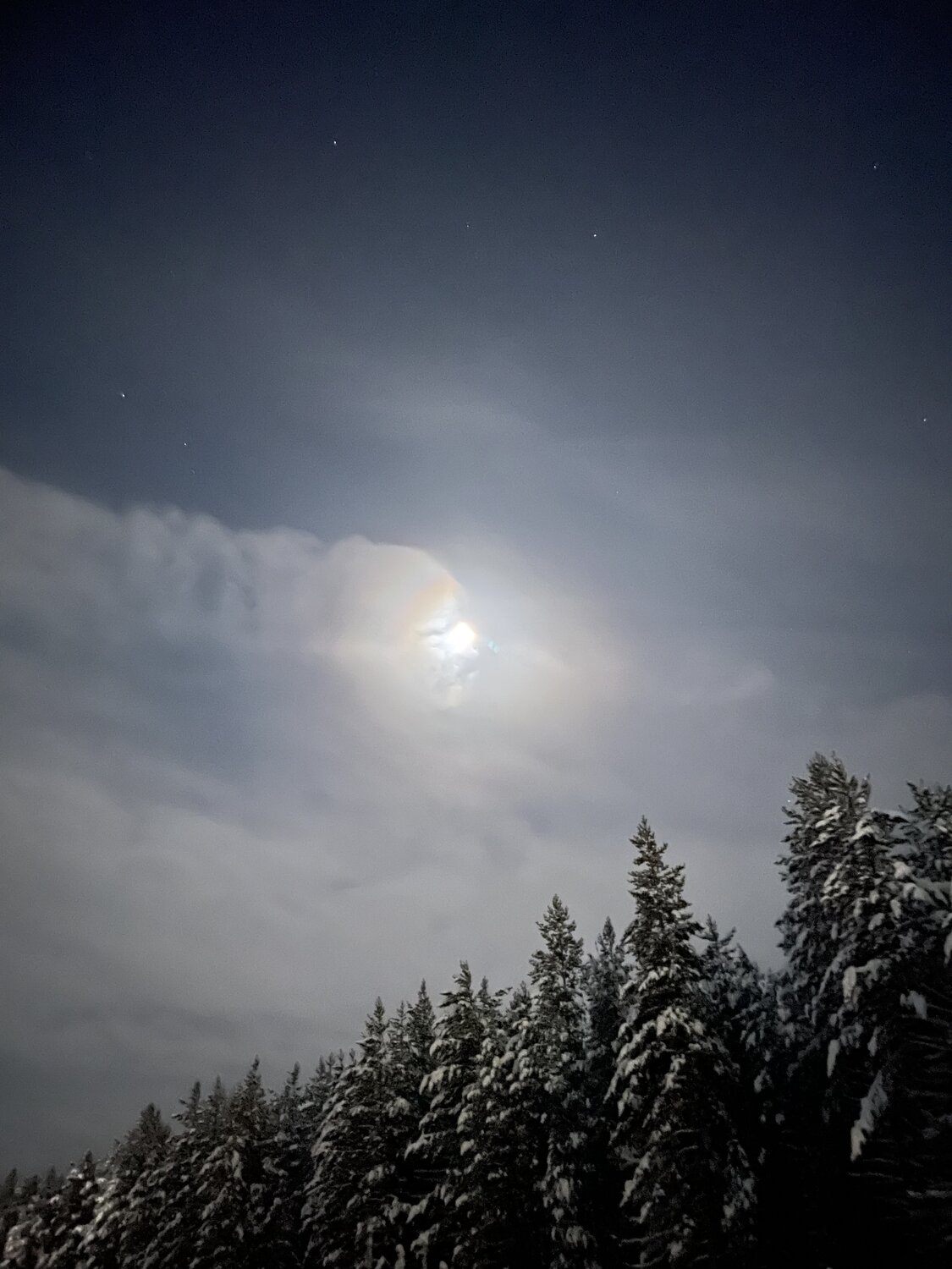 Photo #13348484