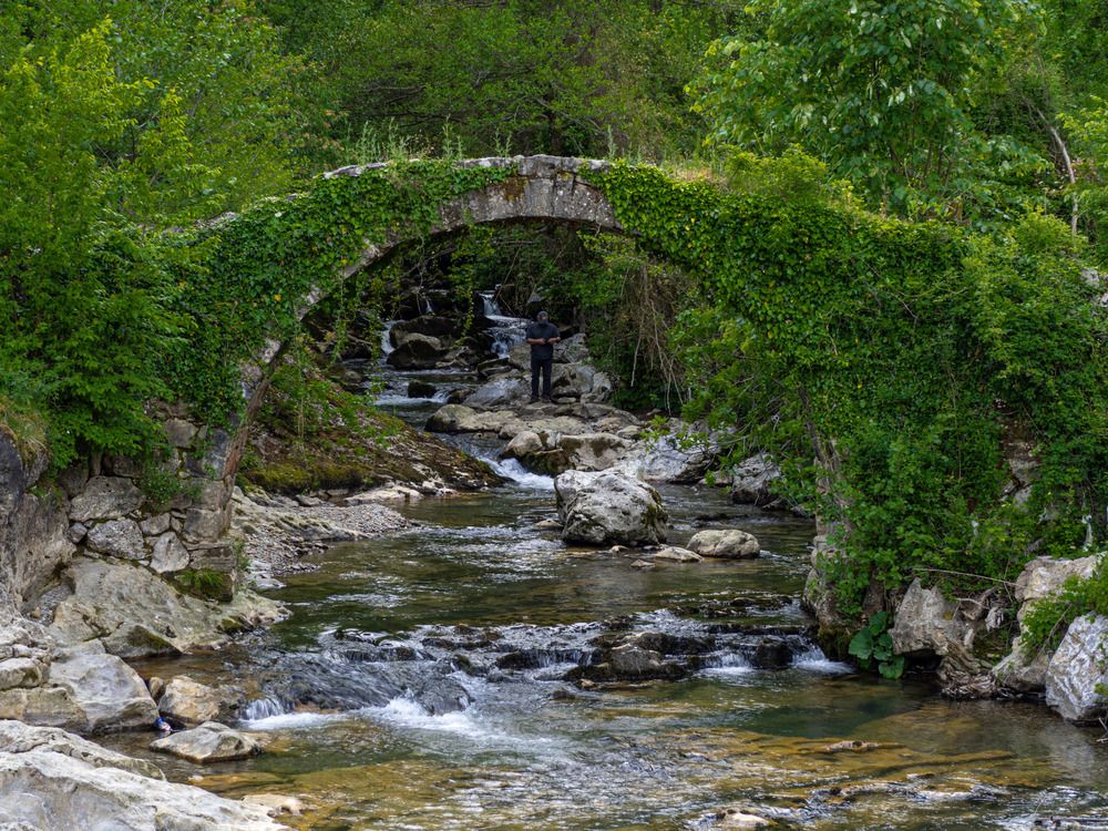 Фотография автора NECMETTİN SOBUTAY