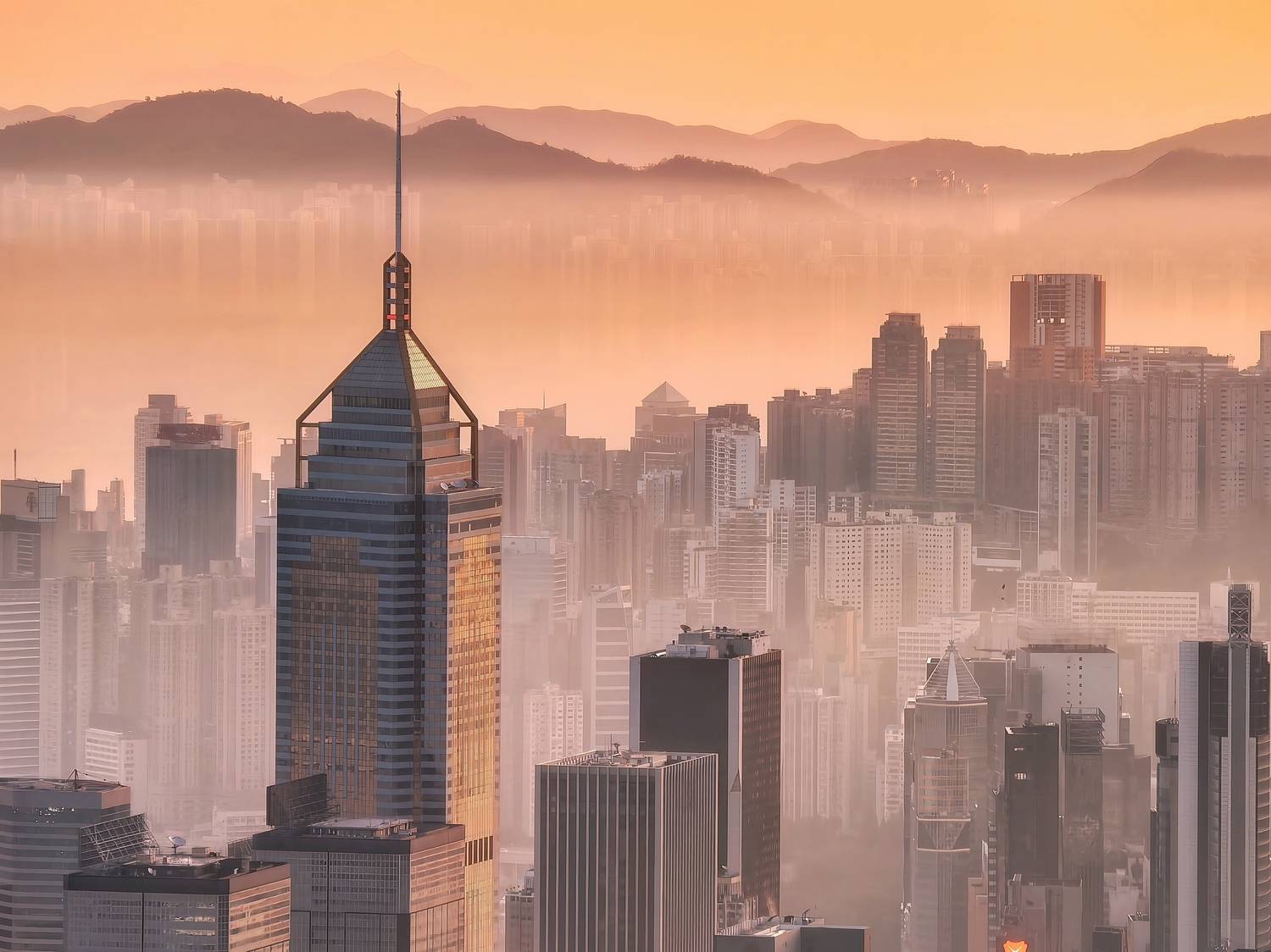 Фотография #13348577