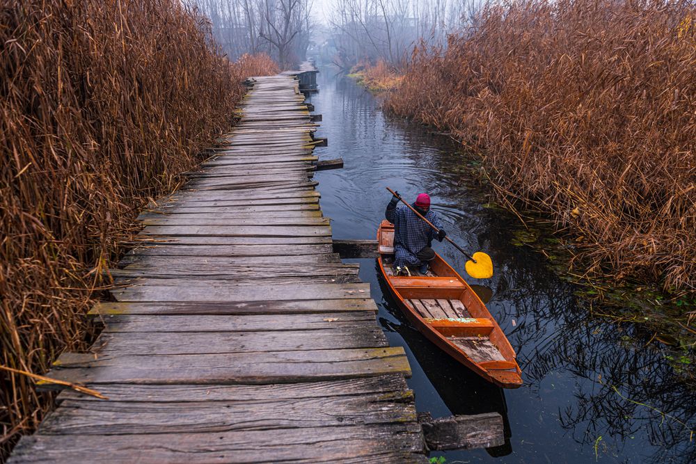 Photograph by Kshitij Patle