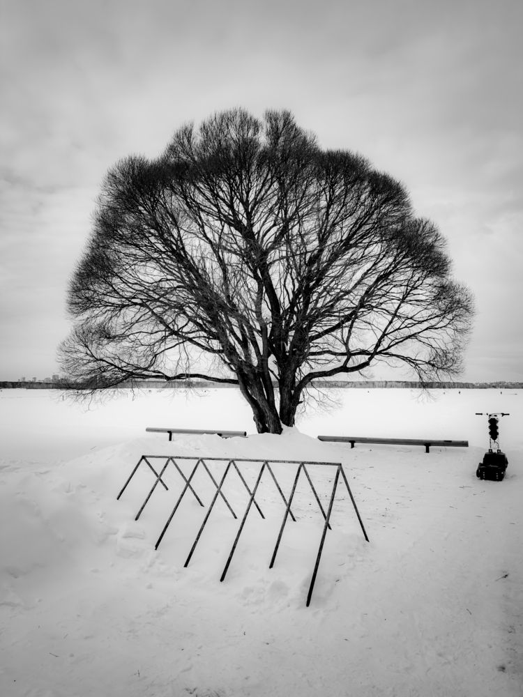 Photograph by Константин Шипицын