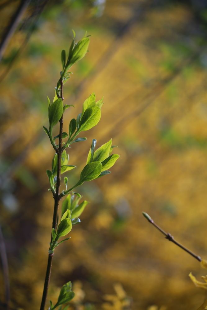 Photograph by Юлия Зеляник