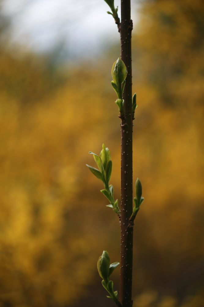 Photograph by Юлия Зеляник