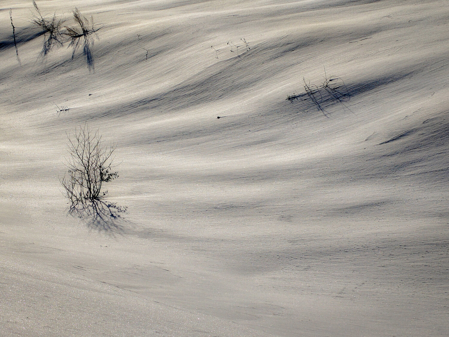 Photo #13348687
