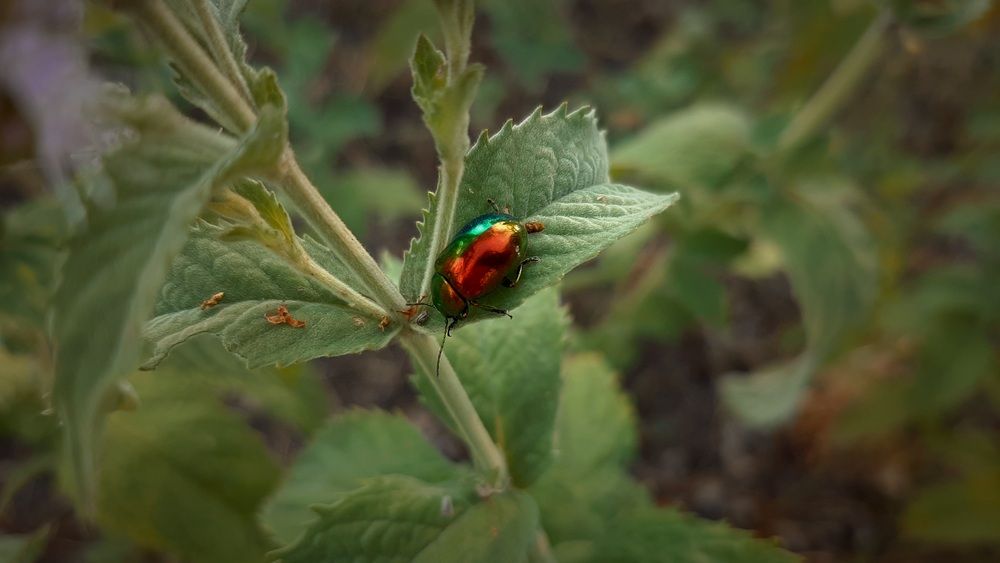 Photograph by Степан Макрушин