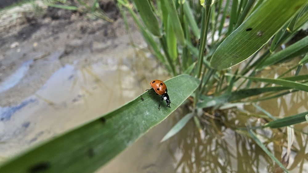 Photograph by Степан Макрушин