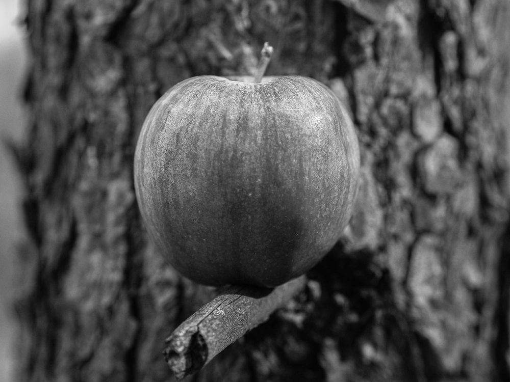 Photograph by Дмитрий Хань