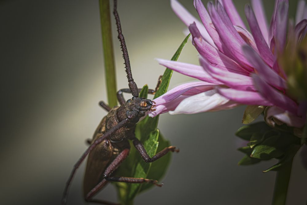 Photograph by Алексей Мякота