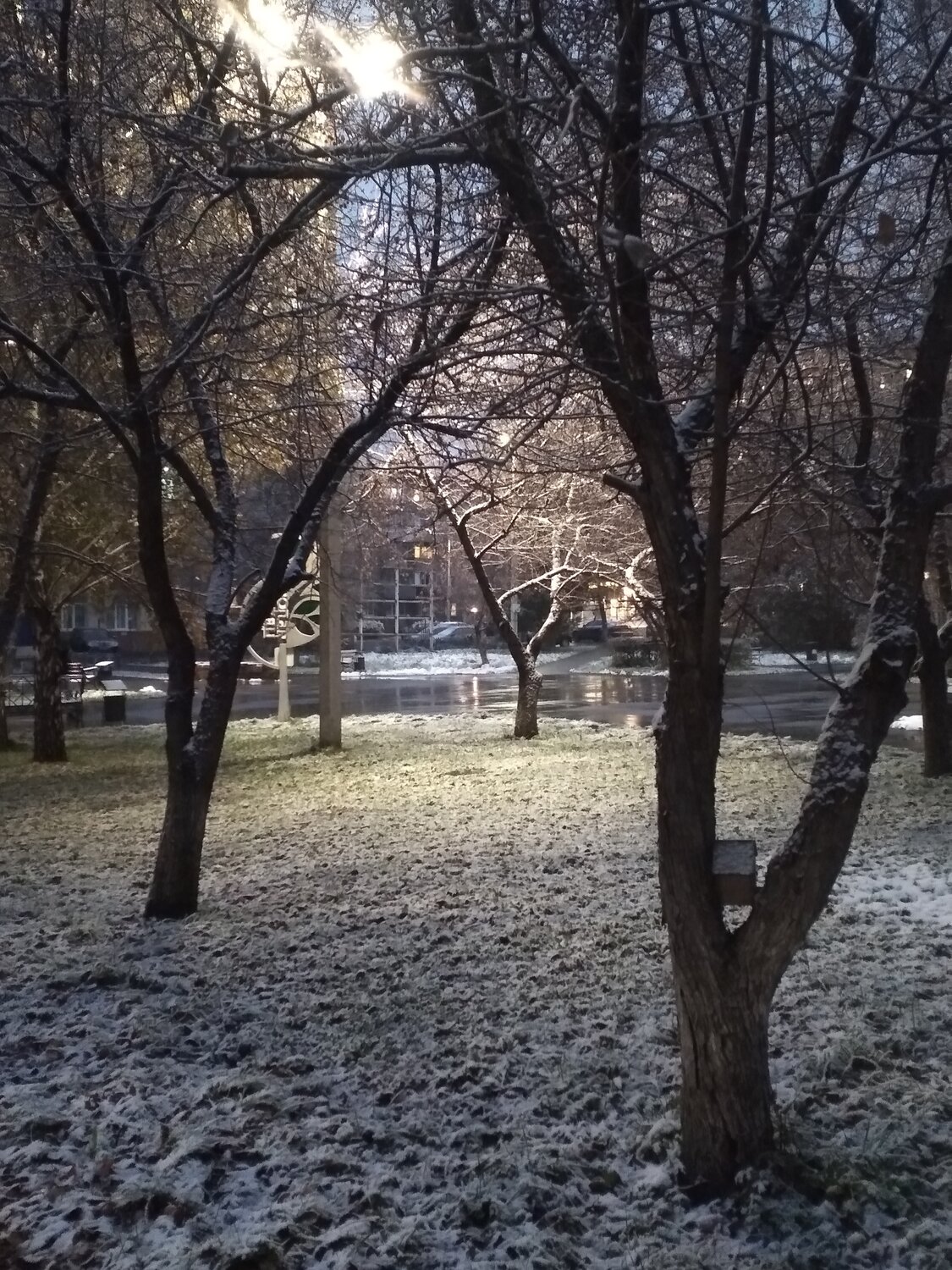 Photo #13348812