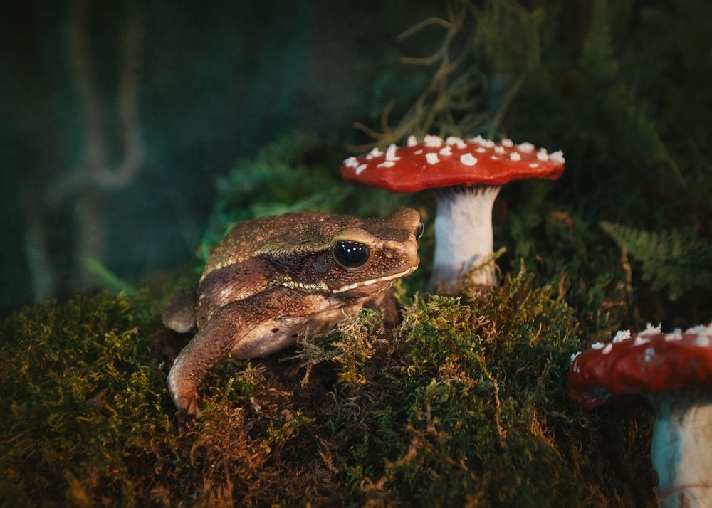 Photograph by Ольга Лобачёва