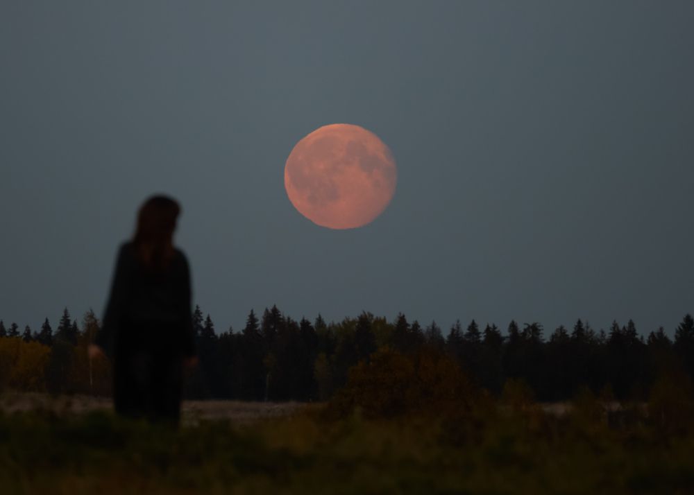 Photograph by Анастасия Алтабаева