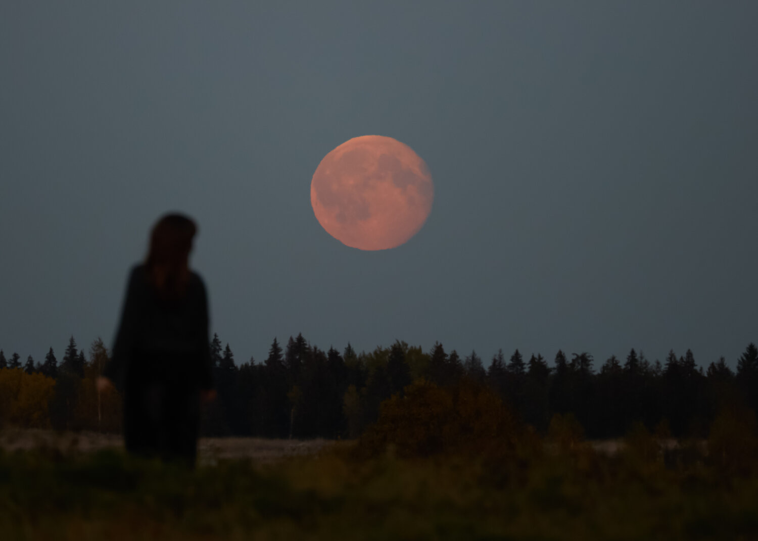 Photo #13348884