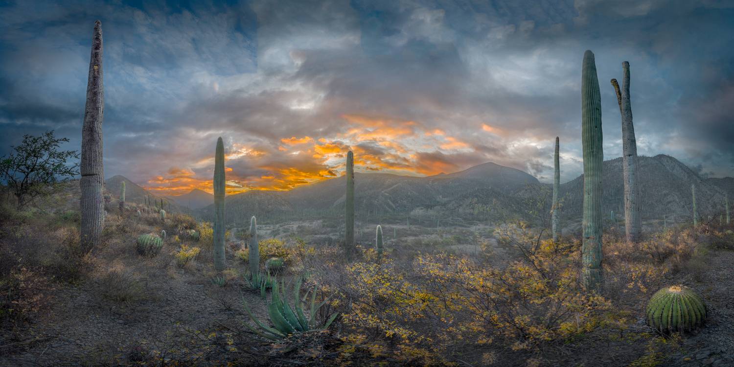 Фотография #13348994