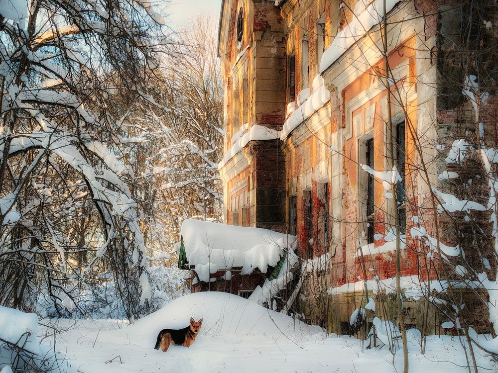 Photograph by Кондрашова Светлана
