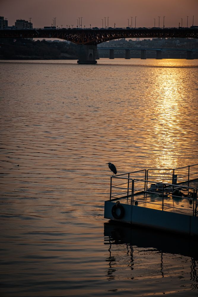 Photograph by Наталья Доброквашина