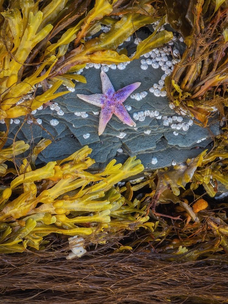 Photograph by Василий Яковлев