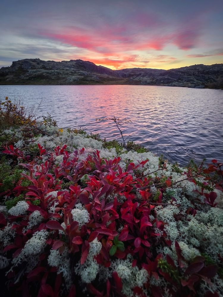 Photograph by Василий Яковлев