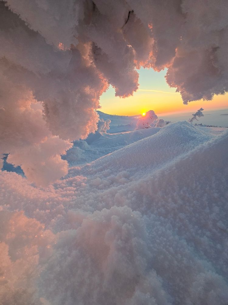 Photograph by Василий Яковлев