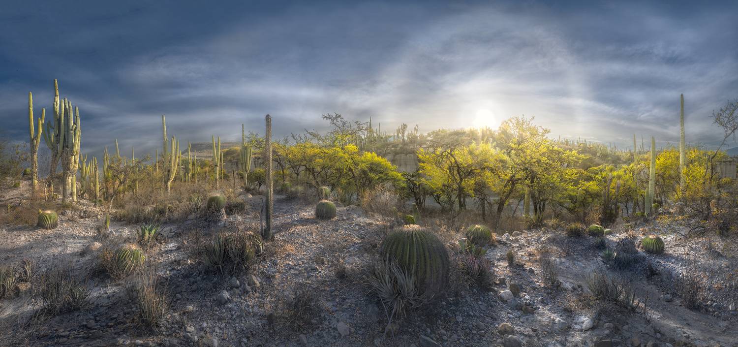 Фотография #13349103