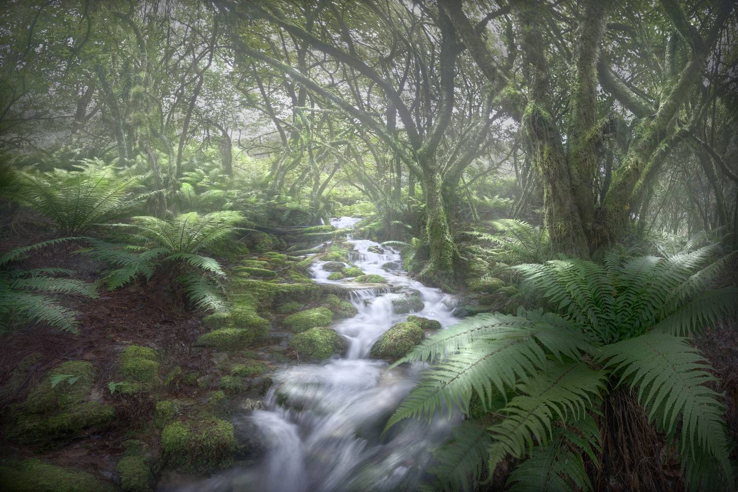 Фотография #13349144