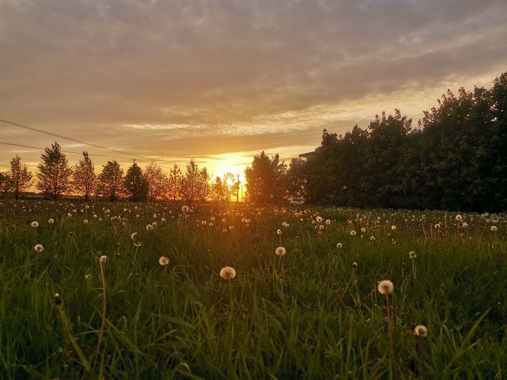 Photograph by Ксения Панина