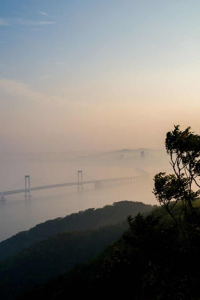 Фотография автора Василиса Новикова