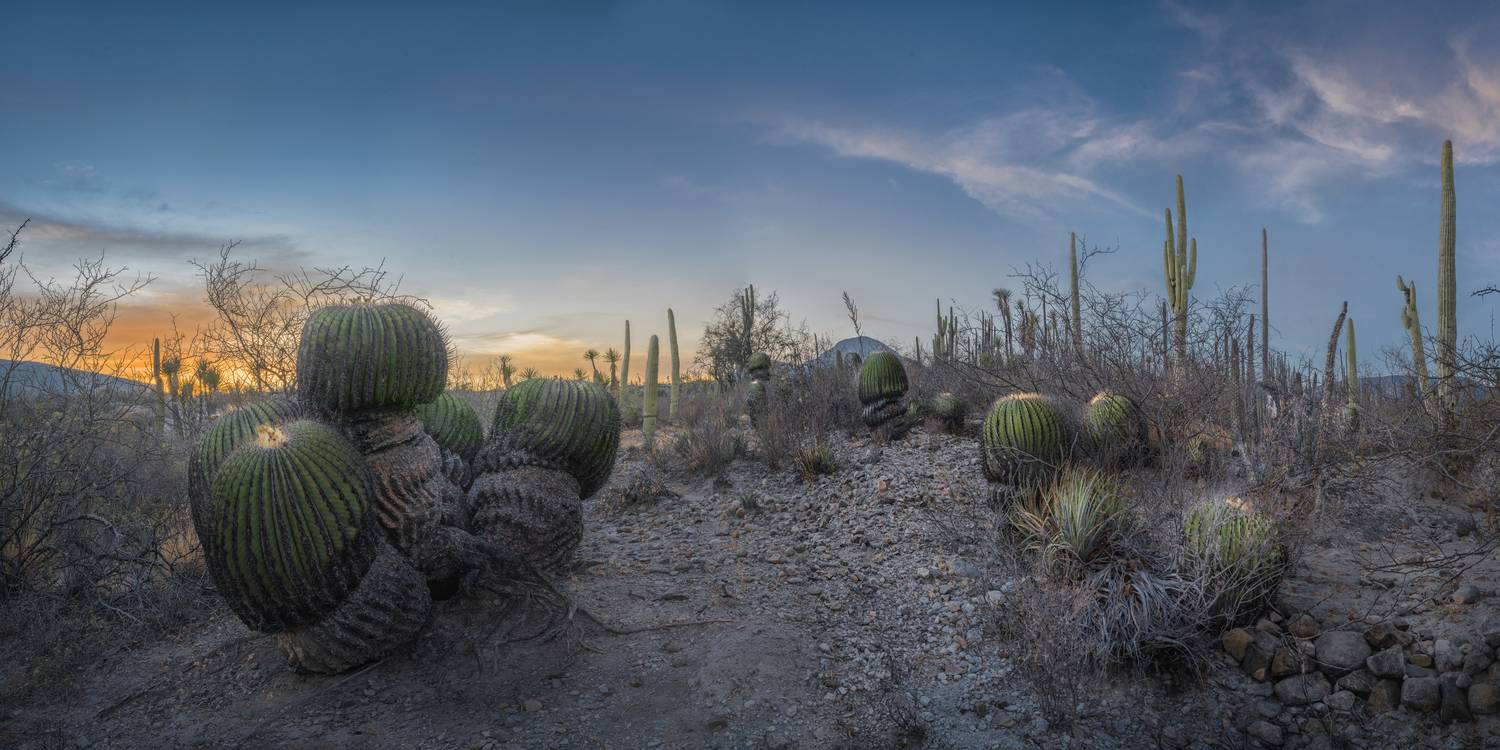 Фотография #13349177