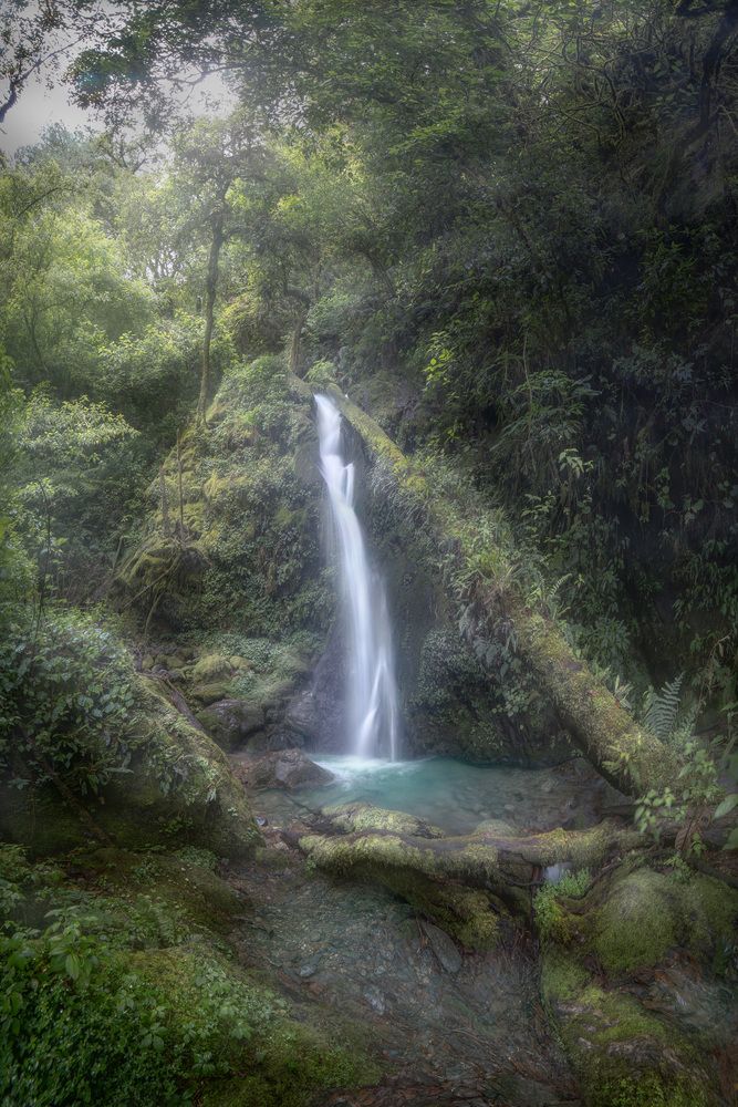 Photograph by Luis Roberto Lyons Suarez