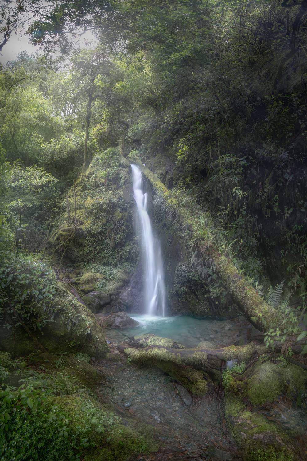 Фотография #13349220