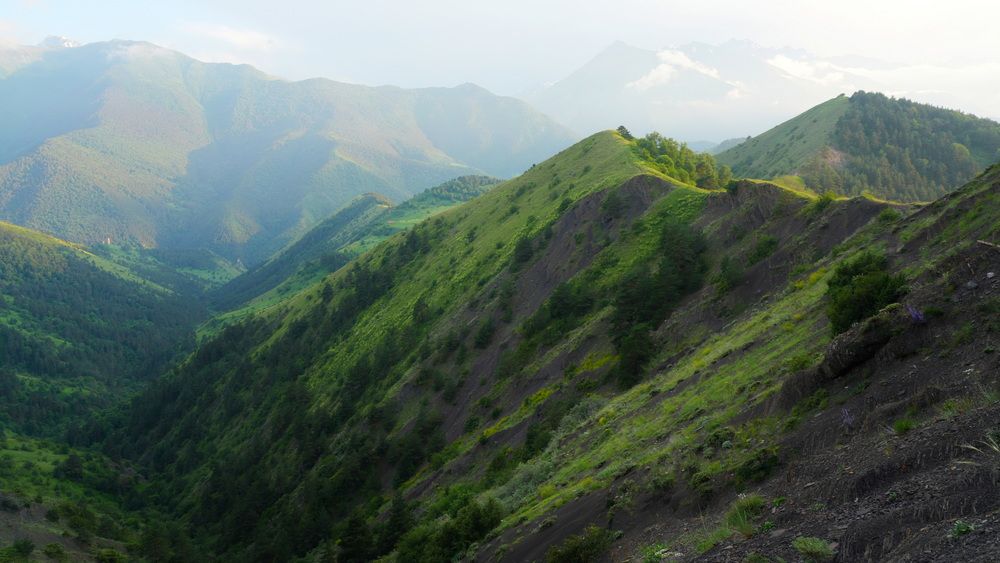 Photograph by Андрей