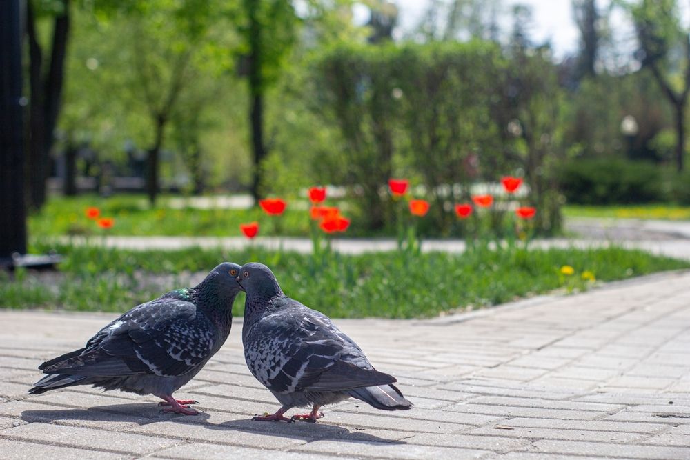 Photograph by Александр Лобынцев