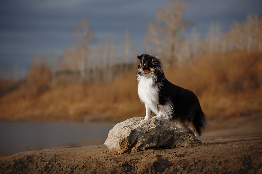 Photograph by Ольга Легенькая