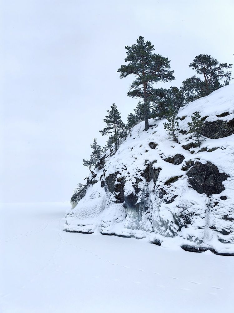 Frozen island