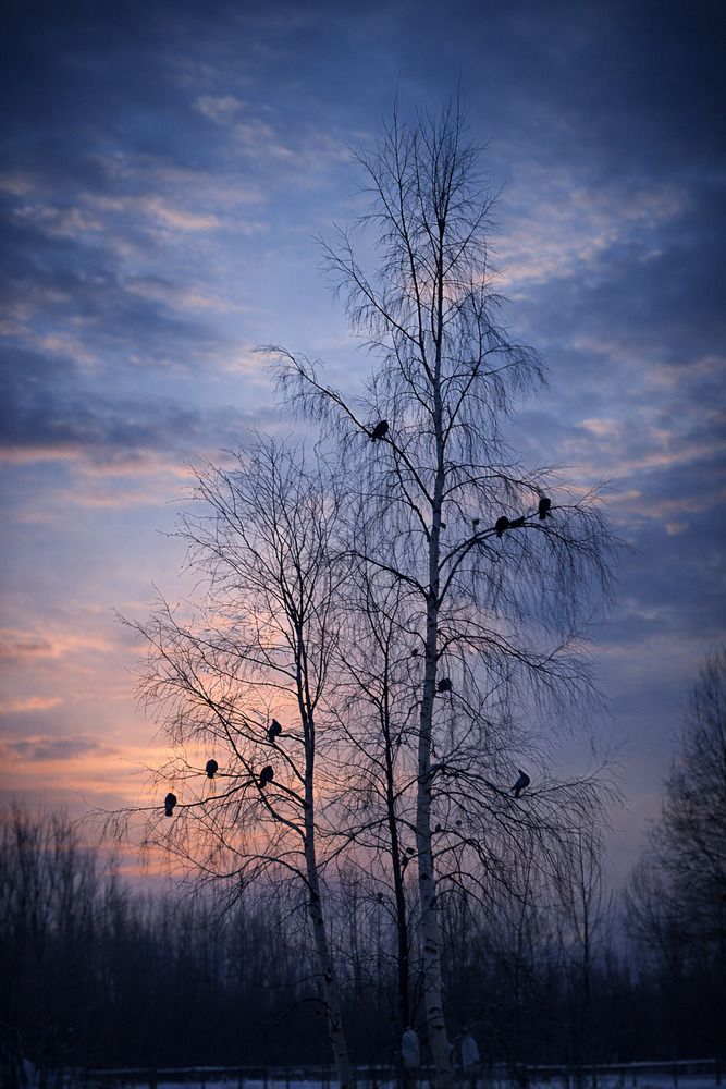 Photograph by Миша Лавашик