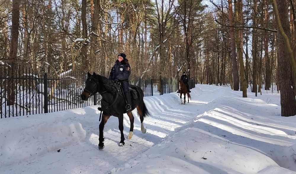 Дневной дозор