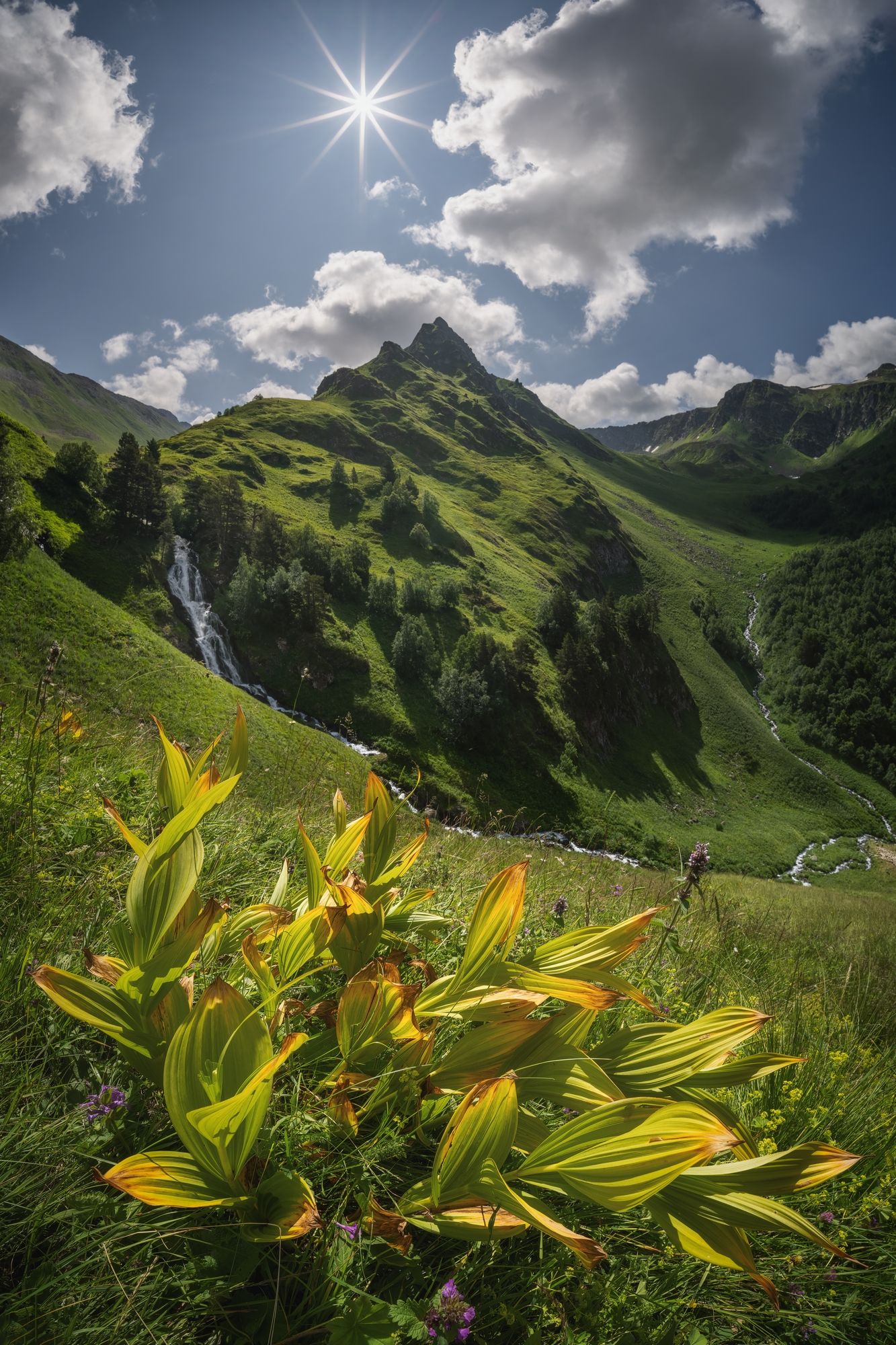 Photograph by Василий Яковлев