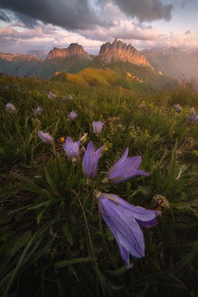 Photograph by Василий Яковлев