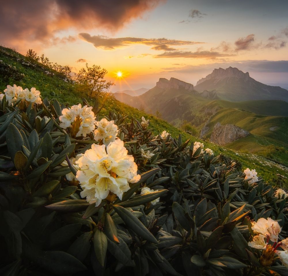 Photograph by Василий Яковлев