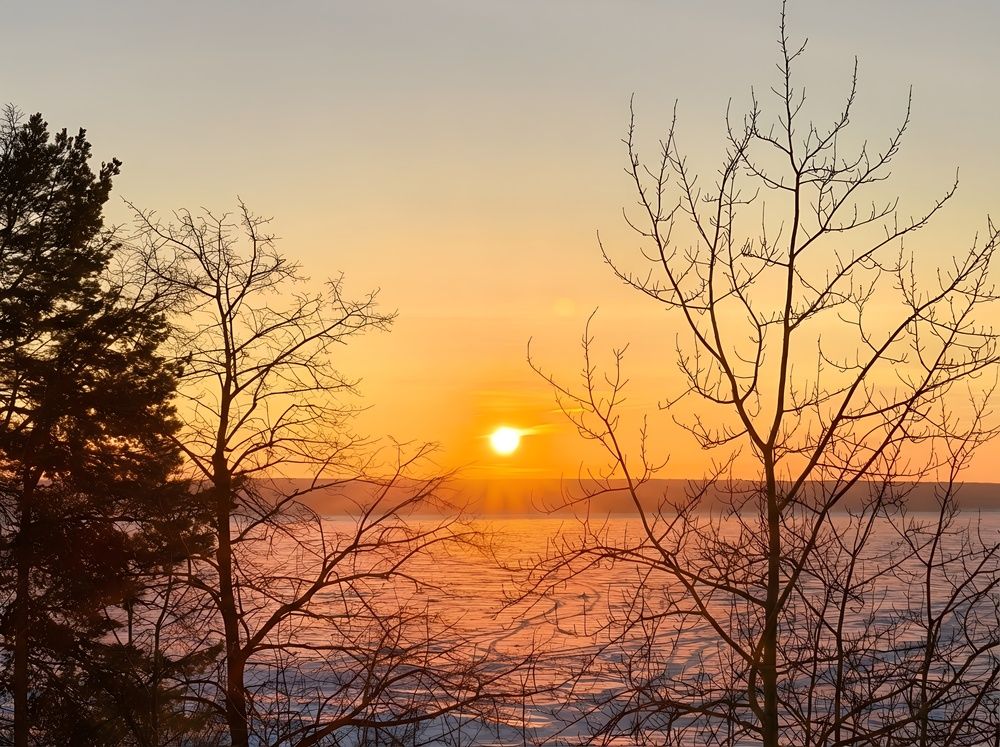 Photograph by Алла Саблина