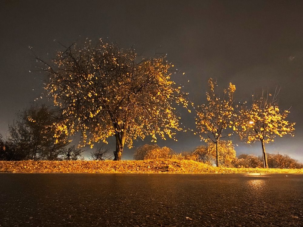 Photograph by Maryna Kukhtsikava