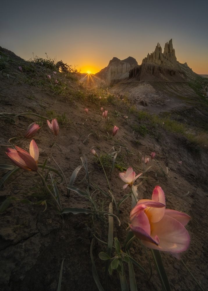 Photograph by Василий Яковлев