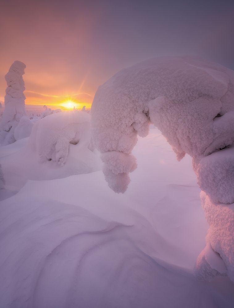 Photograph by Василий Яковлев