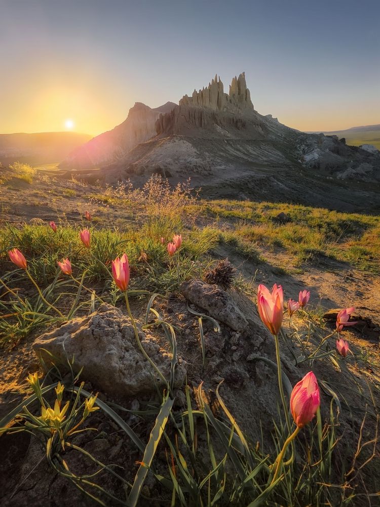 Photograph by Василий Яковлев