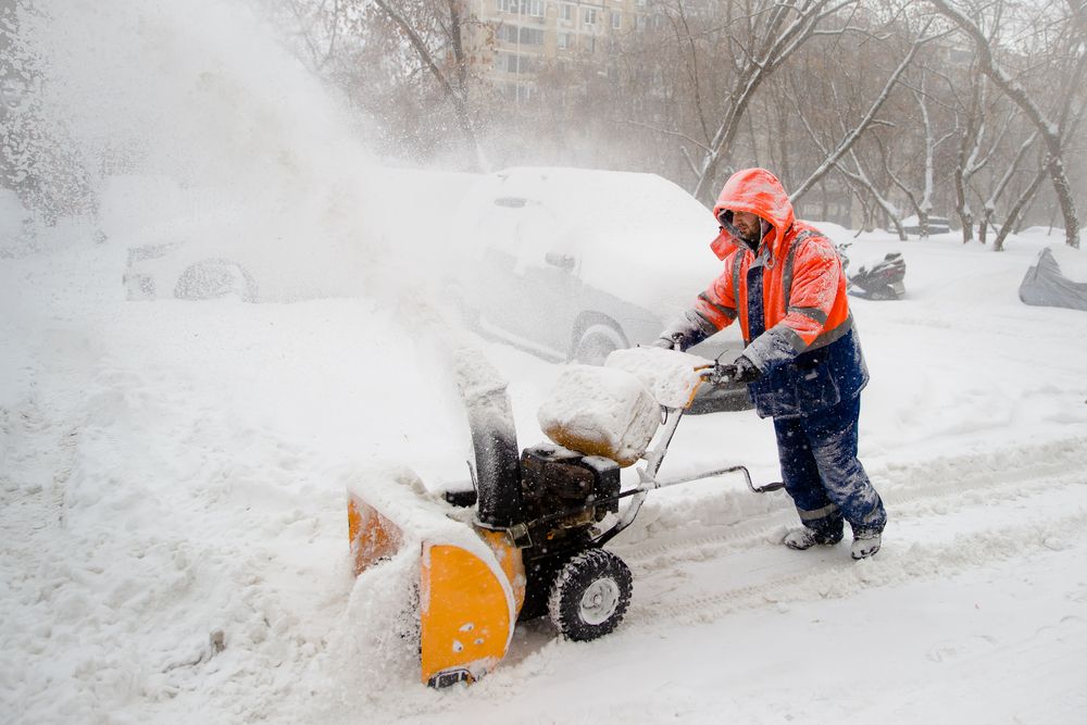 Photograph by Владимир Говоров