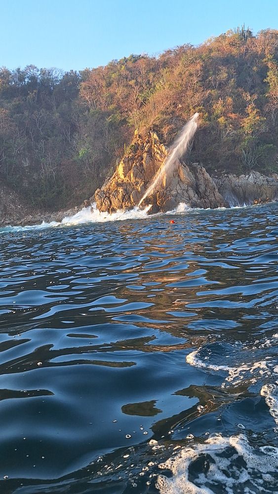 Фотография автора Angelica Aceves