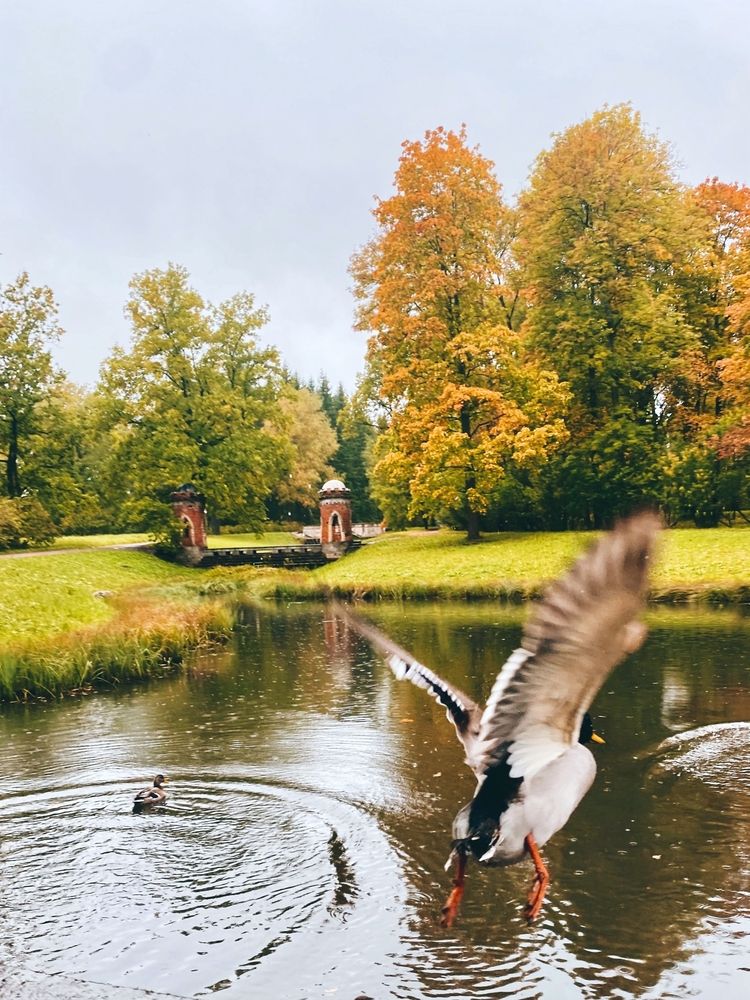 Photograph by Юля Комкина