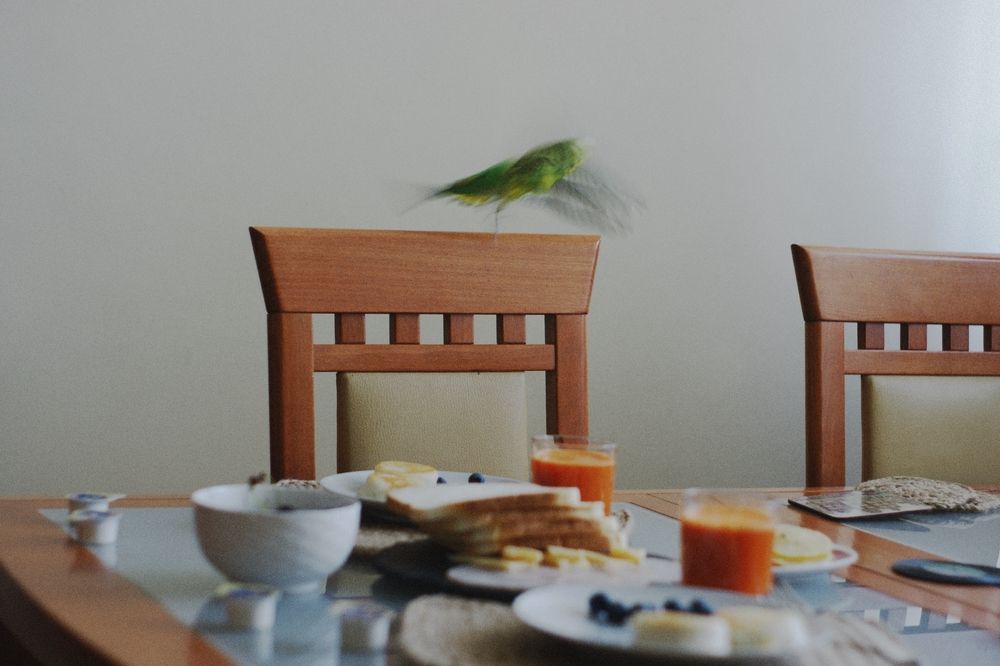 Photograph by Юля Комкина